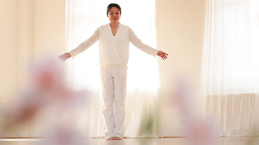 Fortbildung: TriloChi® Fortbildung Qi Gong